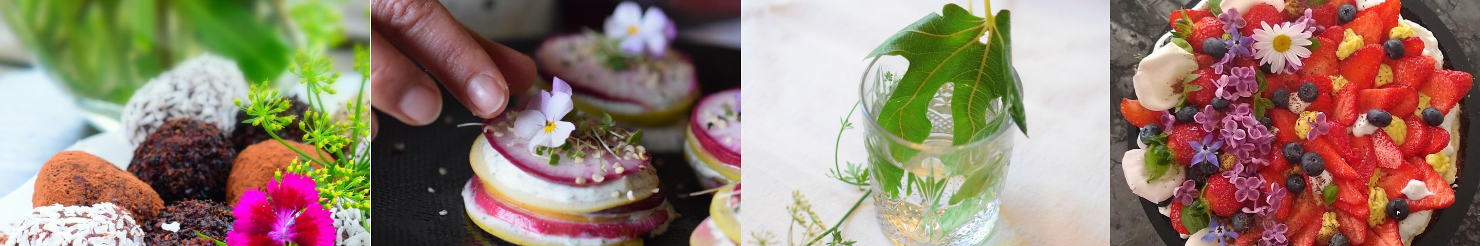 illustrations de plats.
