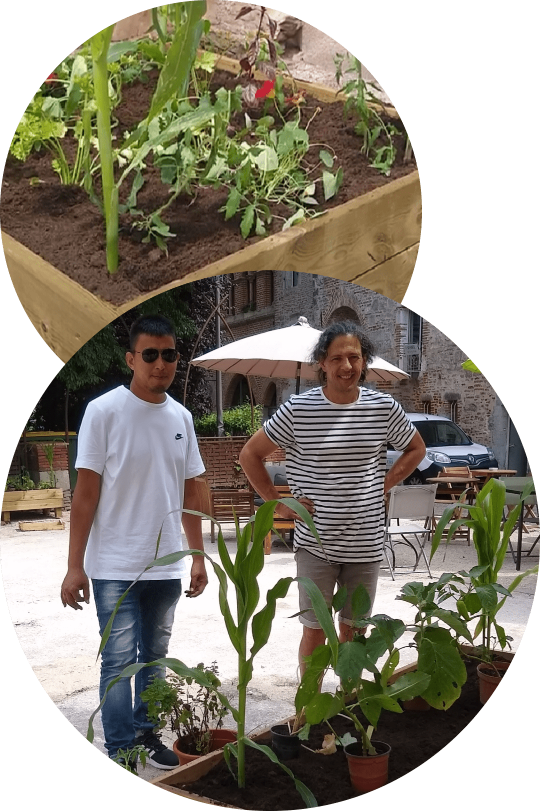 Photos prises pendant le déroulement de l'atelier 'Jardins urbains partagés'.